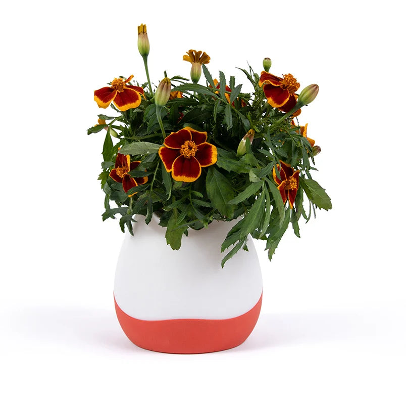 Floroalel artificial plant in vase